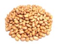 大容量　生ピーナッツ　生花生（小粒）　（1kg） [1kg×1袋]