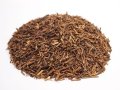 烏龍茎茶