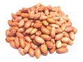 大容量　生ピーナッツ　生花生（大粒）　（1kg）