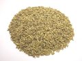 大容量　フェンネルシード　 [（1kg） [1Kg×1袋]]