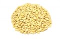 大容量 松の実　 [（1kg） [1Kg×1袋]]