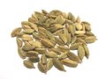 大容量　カルダモン　 [（1kg） [1kg×1袋]]