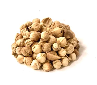 画像1: 大容量　白豆蔲   [（1kg）[1kg×1袋]]