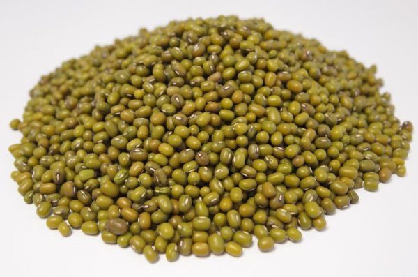 画像1: 緑豆　(500g） (1)
